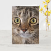 Maine Coon Cat Birthday Humor Kaart (Gele Bloem)