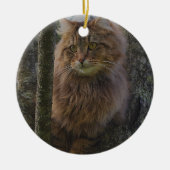 Maine Coon Cat - Boomkat Keramisch Ornament (Voorkant)