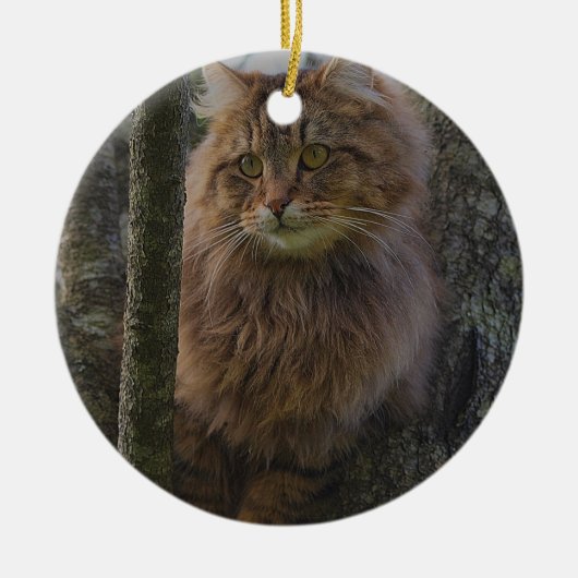 Maine Coon Cat - Boomkat Keramisch Ornament (Voorkant)