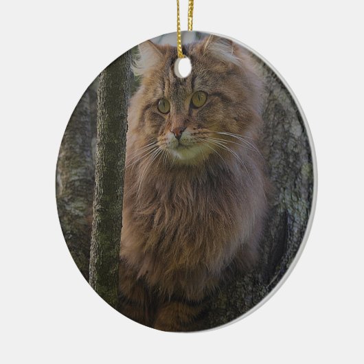 Maine Coon Cat - Boomkat Keramisch Ornament (Links)