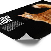 Maine Coon Cat Breed Poster (Hoek)