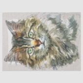 Maine Coon Cat Breed Waterverf Schets Tissuepapier (Voorkant)