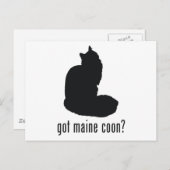 Maine Coon Cat Briefkaart (Voorkant / Achterkant)