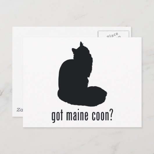 Maine Coon Cat Briefkaart (Voorkant / Achterkant)