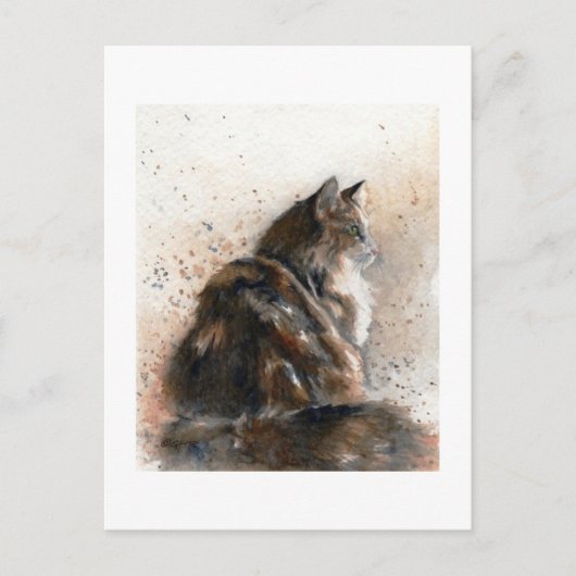 Maine Coon Cat Briefkaart (Voorkant)