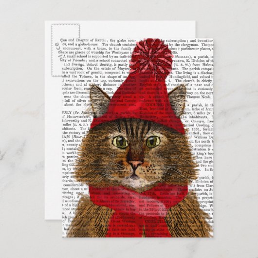 Maine Coon Cat Briefkaart (Voorkant / Achterkant)