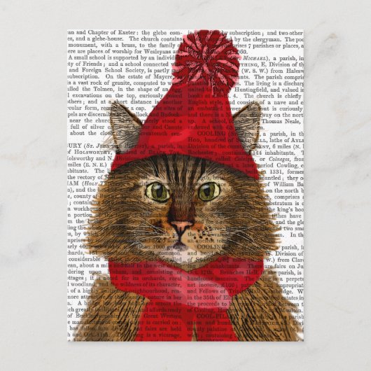 Maine Coon Cat Briefkaart (Voorkant)