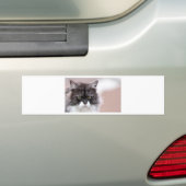 Maine Coon Cat Bumpersticker (Op auto)