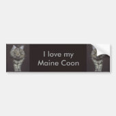 Maine Coon Cat Bumpersticker (Voorkant)