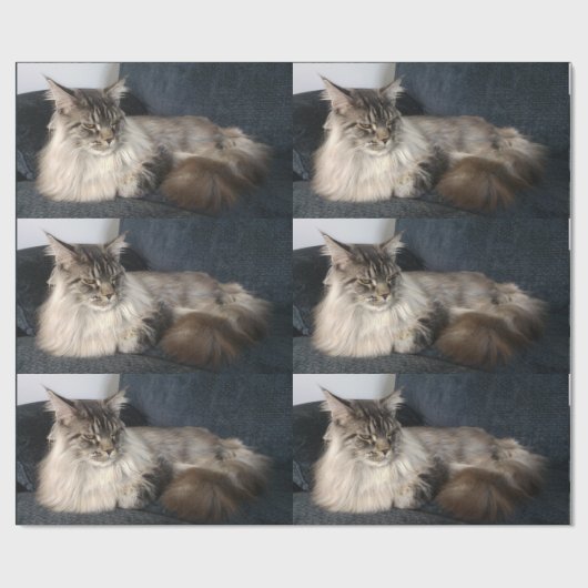 Maine Coon Cat Cadeaupapier (Vlak)