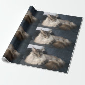 Maine Coon Cat Cadeaupapier (Uitgerold)