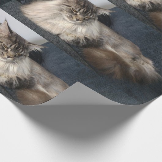 Maine Coon Cat Cadeaupapier (Hoek)