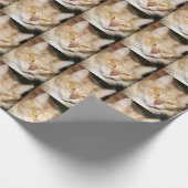 Maine Coon Cat Cadeaupapier (Hoek)