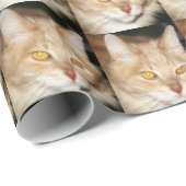Maine Coon Cat Cadeaupapier (Rol Hoek)