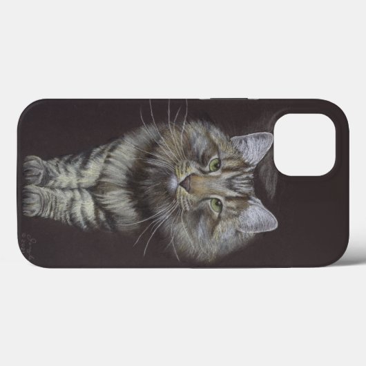 Maine Coon Cat Case-Mate iPhone Case (Achterkant (horizontaal))