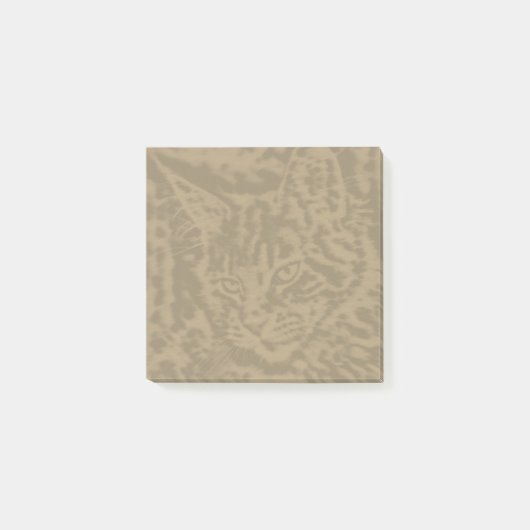 Maine Coon Cat cats 3 door 3 Post-it® Notes (Voorkant)