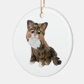 Maine Coon Cat Ceramic Ornament (Links)