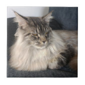 Maine Coon Cat Ceramic Tile Tegeltje (Voorkant)