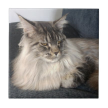 Maine Coon Cat Ceramic Tile