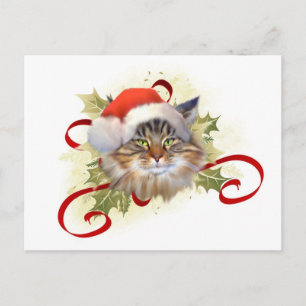 Maine Coon Cat Christmas Briefkaart