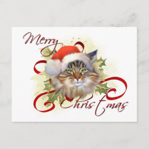 Maine Coon Cat Christmas Briefkaart
