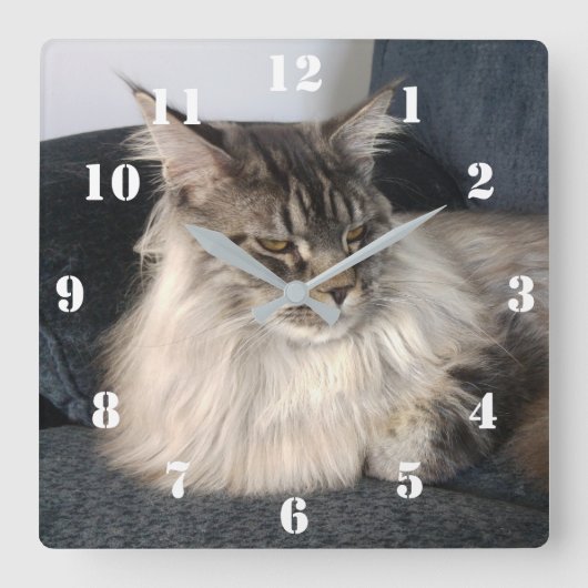 Maine Coon Cat Clock Vierkante Klok (Voorkant)