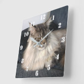 Maine Coon Cat Clock Vierkante Klok (Hoek)