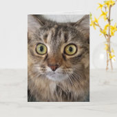 Maine Coon Cat Face Verjaardag Kaart (Gele Bloem)