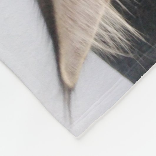 Maine Coon Cat Fleece Deken (Hoek)