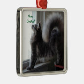 Maine Coon Cat Foto Metalen Ornament (Rechts)