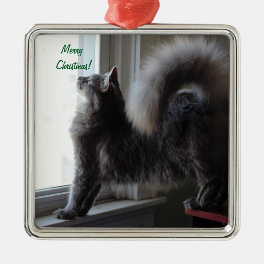 Maine Coon Cat Foto Metalen Ornament (Voorkant)