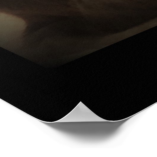 Maine Coon Cat Foto Poster (Hoek)