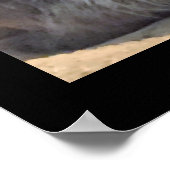 Maine Coon Cat Foto Poster (Hoek)