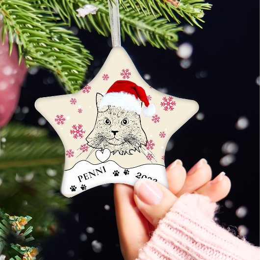 Maine Coon Cat gepersonaliseerde handtekening Keramisch Ornament