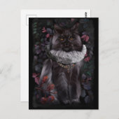 Maine Coon cat in an antient aristocratisme pak Briefkaart (Voorkant / Achterkant)