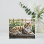 Maine Coon Cat in een gezellige binnentuin Briefkaart (Staand voorkant)