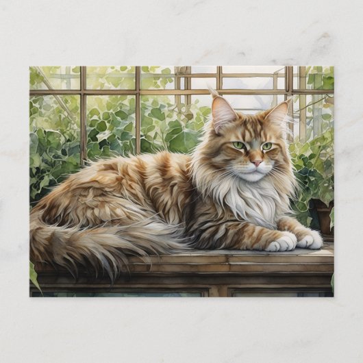 Maine Coon Cat in een gezellige binnentuin Briefkaart (Voorkant)
