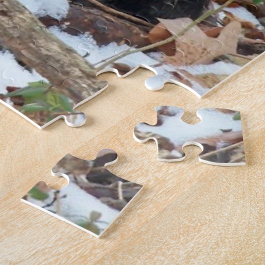 Maine Coon Cat in Forest Jigzaag Puzzle Legpuzzel (Zijkant)