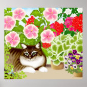 Maine Coon Cat in Garden Oerwoud Poster (Voorkant)