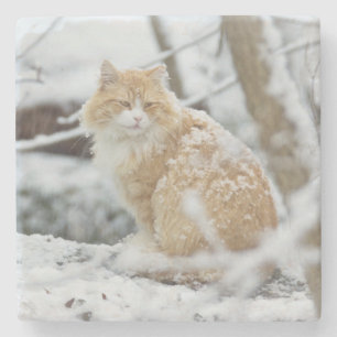 Maine Coon Cat in Snowstorm Onderzetter