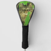 Maine Coon Cat in Tree Golfheadcover (Voorkant)