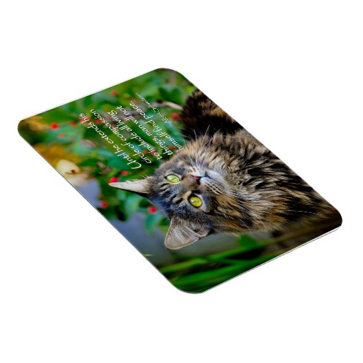 Maine Coon Cat Inspirerend Magnet Magneet (Rechterzijde)