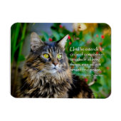 Maine Coon Cat Inspirerend Magnet Magneet (Horizontaal)