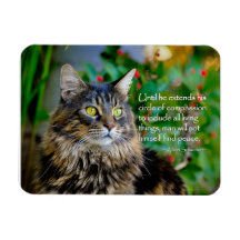Maine Coon Cat Inspirerend Magnet