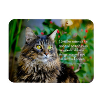 Maine Coon Cat Inspirerend Magnet Magneet