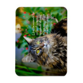 Maine Coon Cat Inspirerend Magnet Magneet (Verticaal)