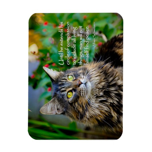 Maine Coon Cat Inspirerend Magnet Magneet (Verticaal)