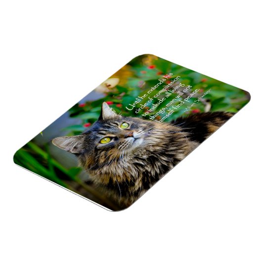 Maine Coon Cat Inspirerend Magnet Magneet (Linkerzijde)