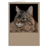 Maine Coon Cat Kaart (Voorkant)