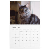 Maine Coon Cat Kalender (Feb 2027)